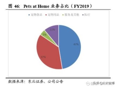 宠物食品行业专题报告:医院及零售门店去向何方?